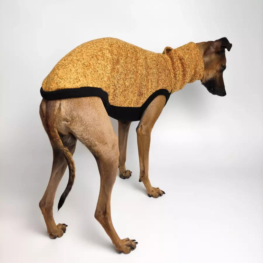 bezrekawnik-dla-charcika-melange