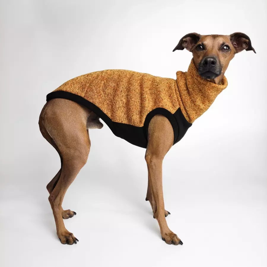 bezrekawnik-dla-charcika-melange