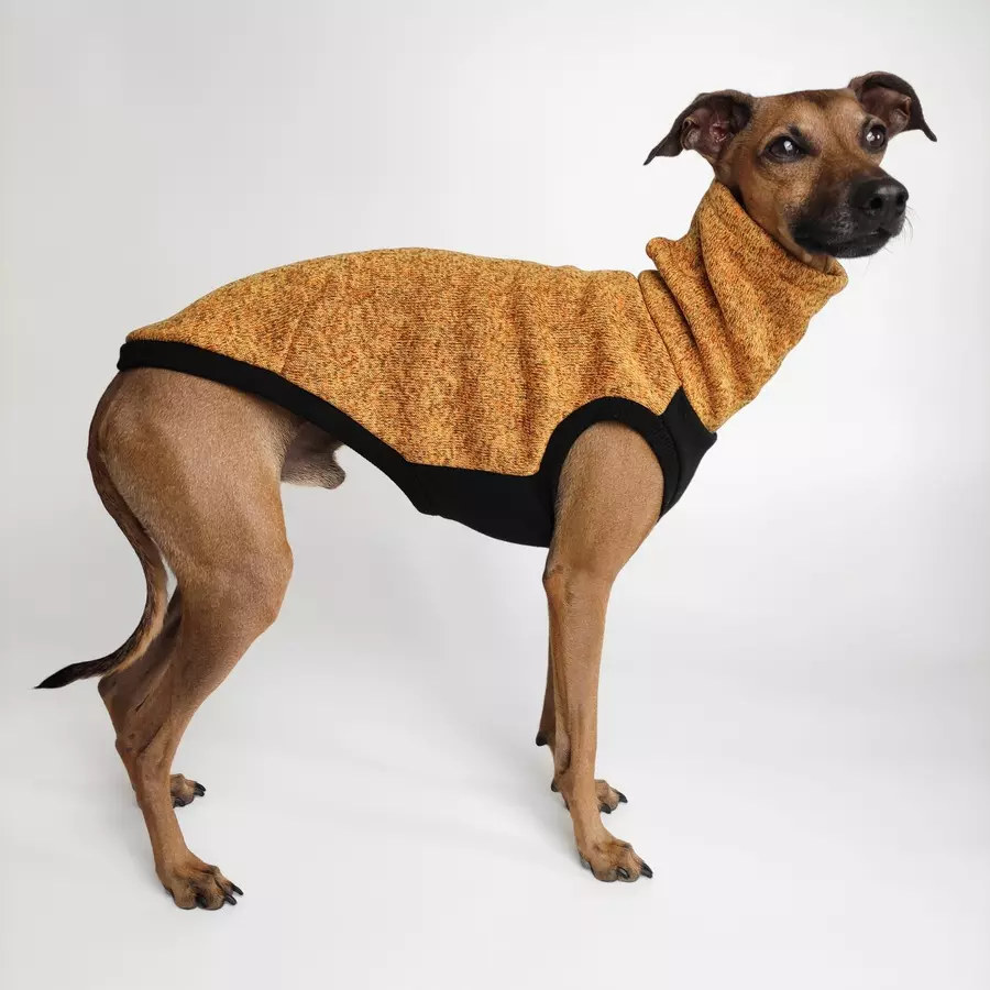 bezrekawnik-dla-charcika-melange