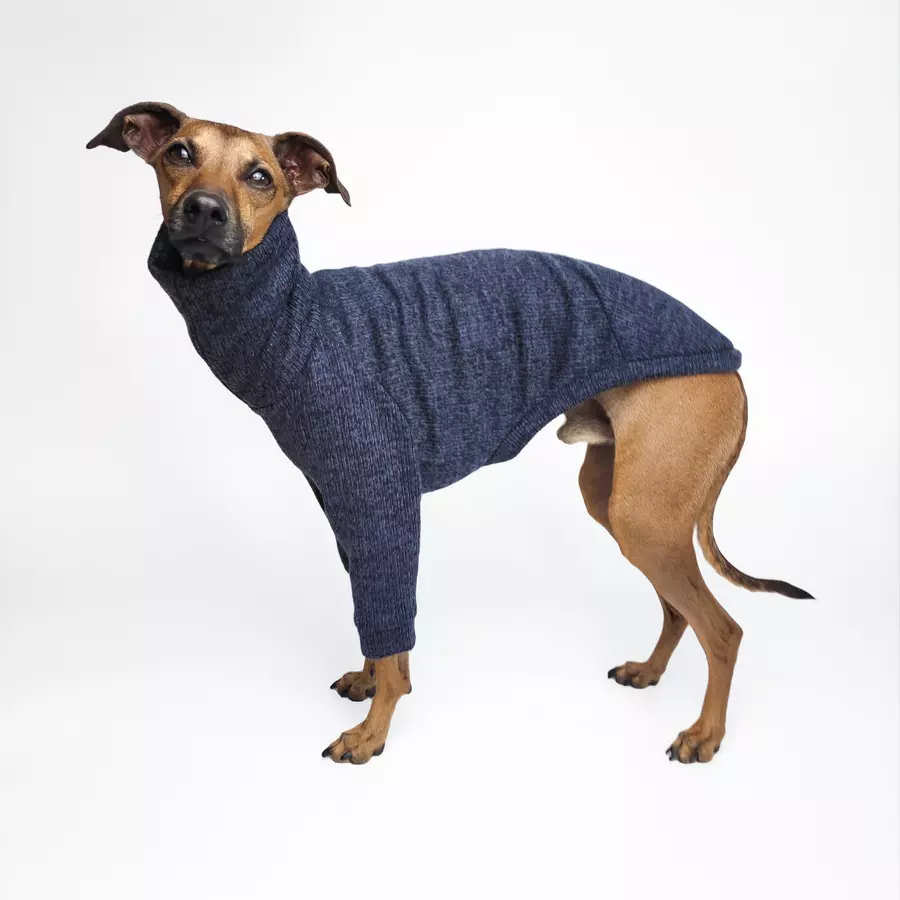 bluza-dla-charcika-navy