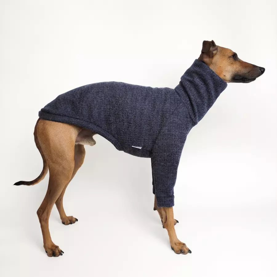 bluza-dla-charcika-navy