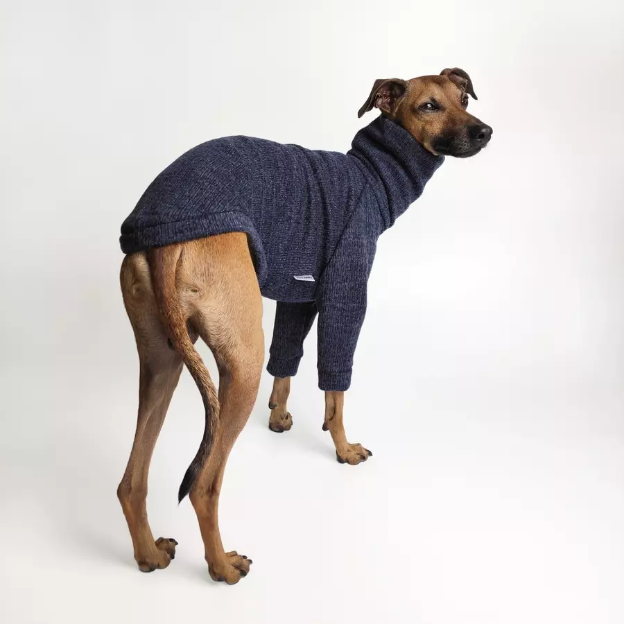 bluza-dla-charcika-navy