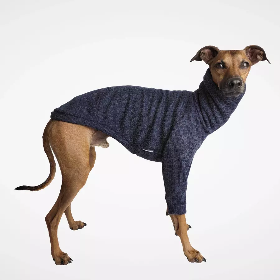 bluza-dla-charcika-navy